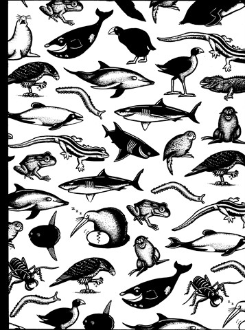 New Zealand Animals Pictures - Pen and Ink